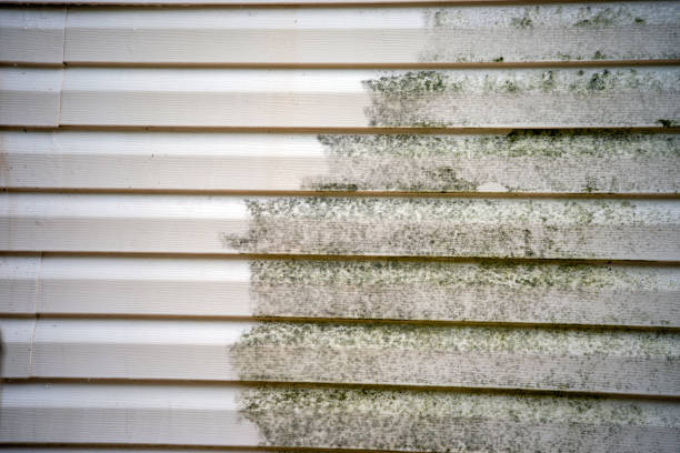 Best Siding Removal and Disposal  in Eustace, TX