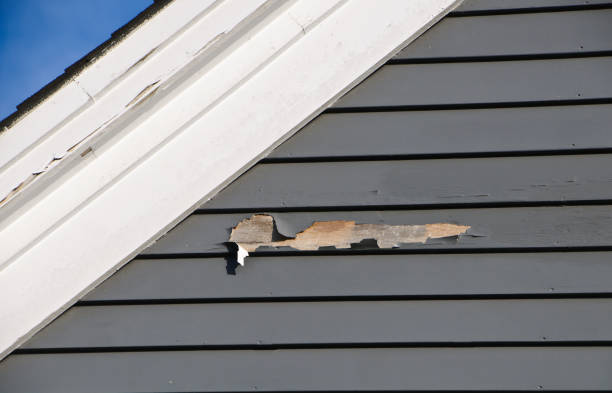 Best Insulated Siding Installation  in Eustace, TX